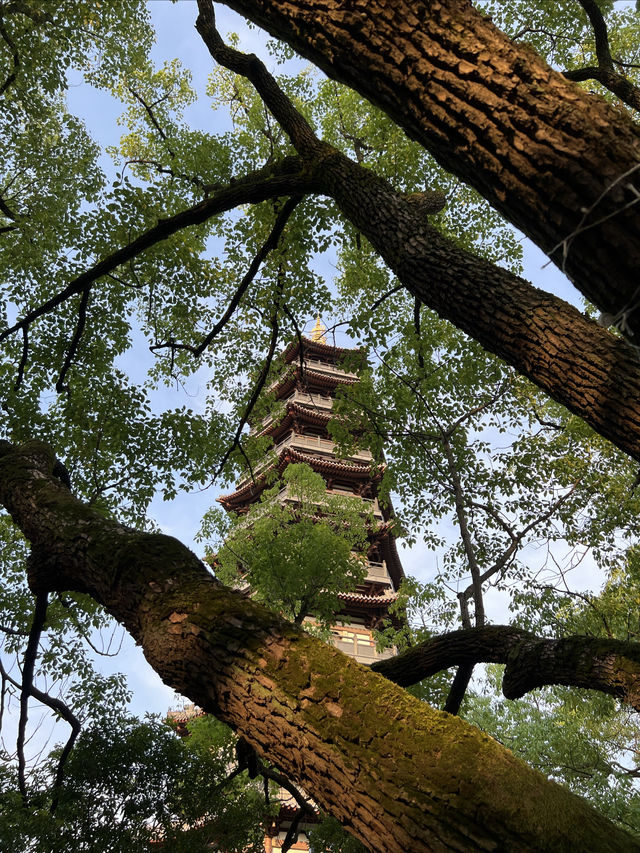 江南水鄉巡禮——安亭老街