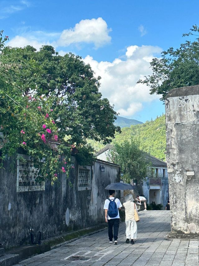 不用去雲南，深圳也能去有風的地方