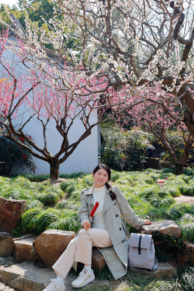 12元門票的古猗園，去看最後一波梅花