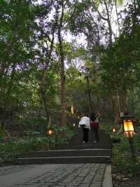 青山綠水育龍井，五雲山上尋五雲：九溪親子