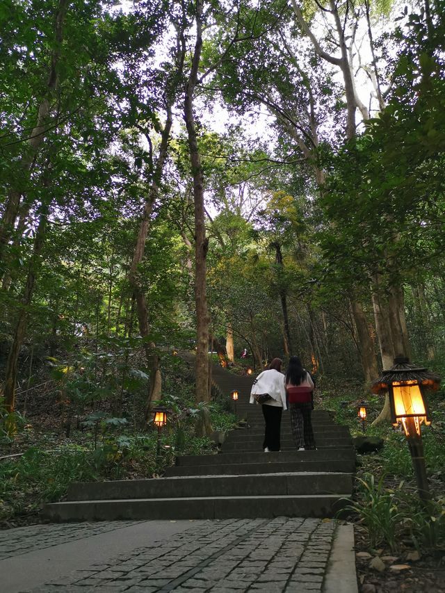 青山綠水育龍井，五雲山上尋五雲：九溪親子