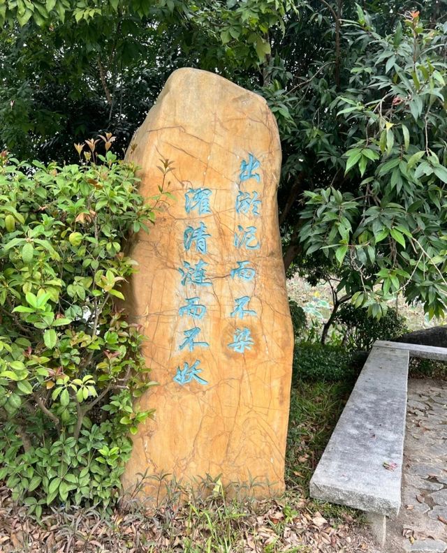 廣州小眾古村落 蓮塘村