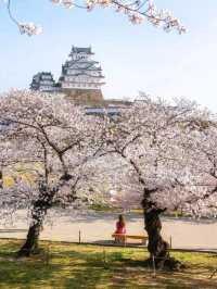 Beautiful Himeji Castle in Japan🇯🇵❤️