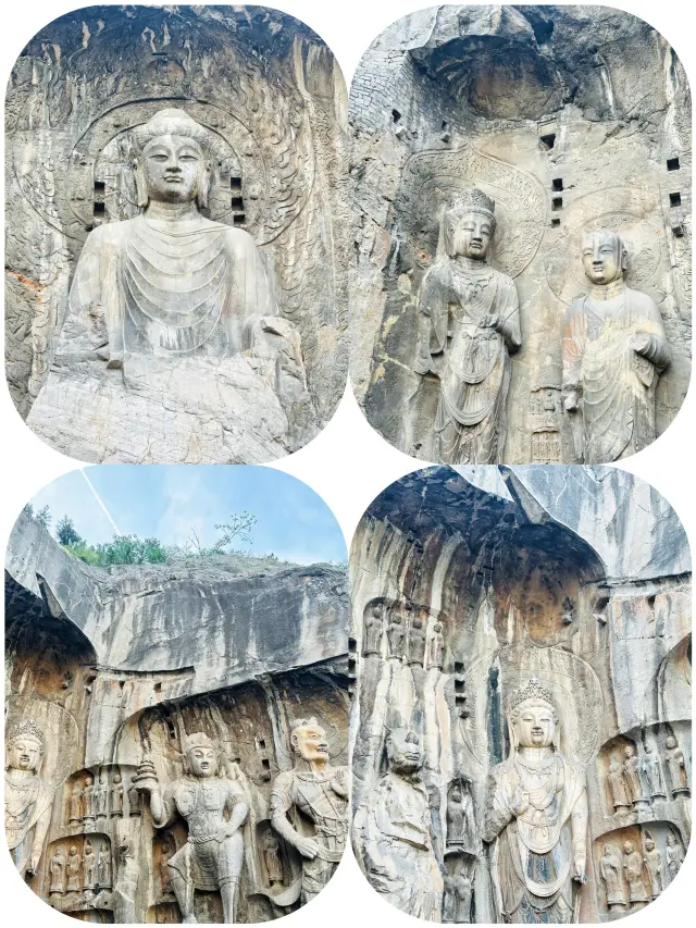 Luoyang Trip | In-depth Tour Experience of the Longmen Grottoes