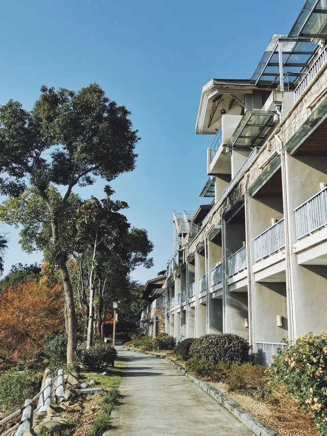 Qiandao Lake's Exquisite Island Heart Resort | A Vacation Hotel That Exclusively Occupies a Small Island