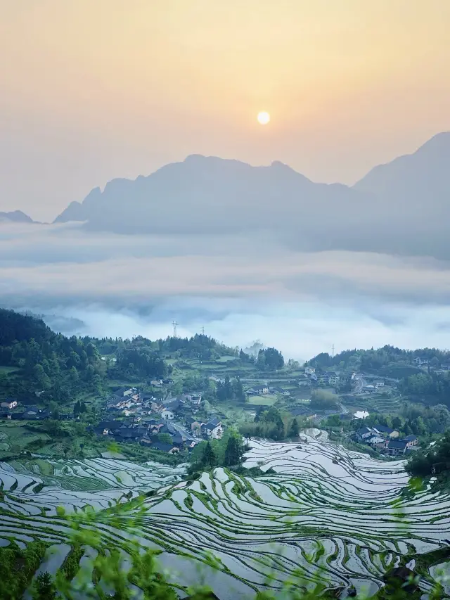 Lishui! A homestay overlooking the sea of clouds that you'll regret not visiting sooner