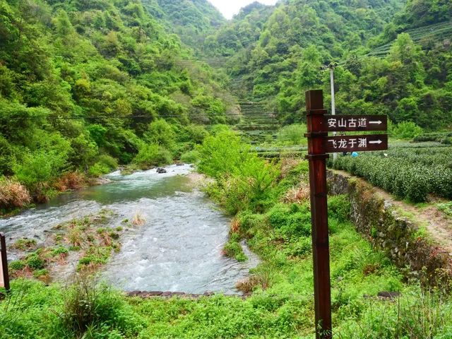 安山古道 安山古道