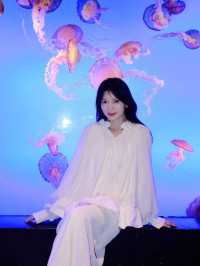 重慶五一去哪兒快來海洋公園圓藍色之夢
