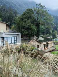 重慶墊江飛茑集—巴谷宿集，大山裡的田園民宿群