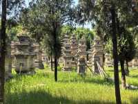 世界文化遺產塔林-登封市嵩山少林寺景區