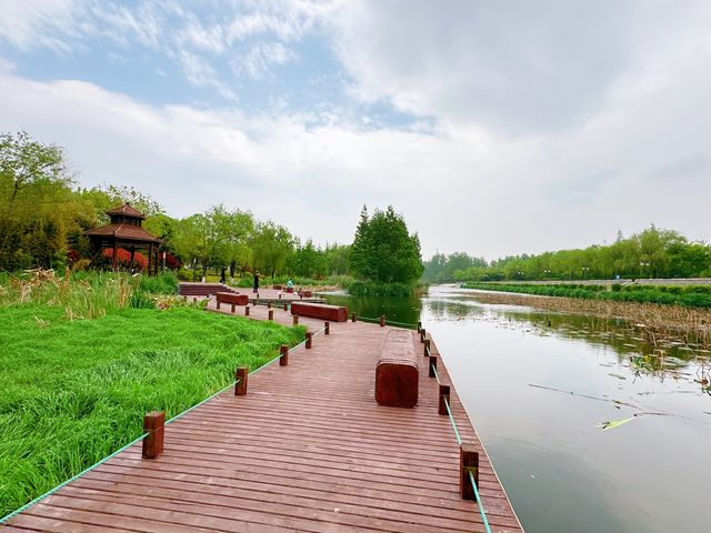 皂戶河公園：夏日清涼綠洲，一遊盡享自然魅力！