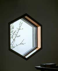 中式美學·蘇州園林