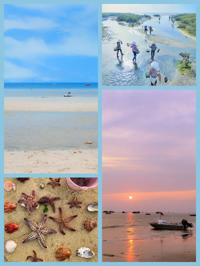 北海紅樹林必去趕海攻略：潮起潮落間的親子樂趣