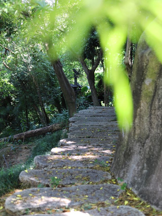 鼓浪屿小眾景點：月光岩閒散小攻略