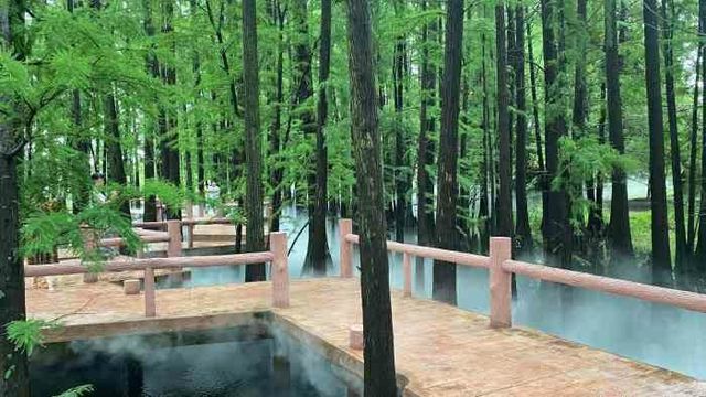 九曲橋美景，東湖落雁島的攝影天堂