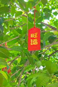 武漢小眾寶藏地探秘——龍華寺