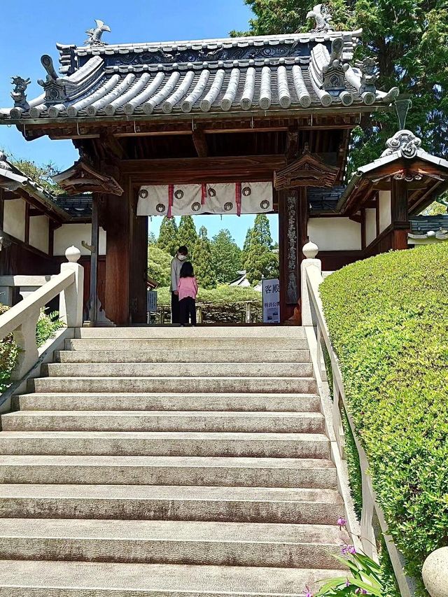 比京都更chill～還是小地方人少!!更好玩