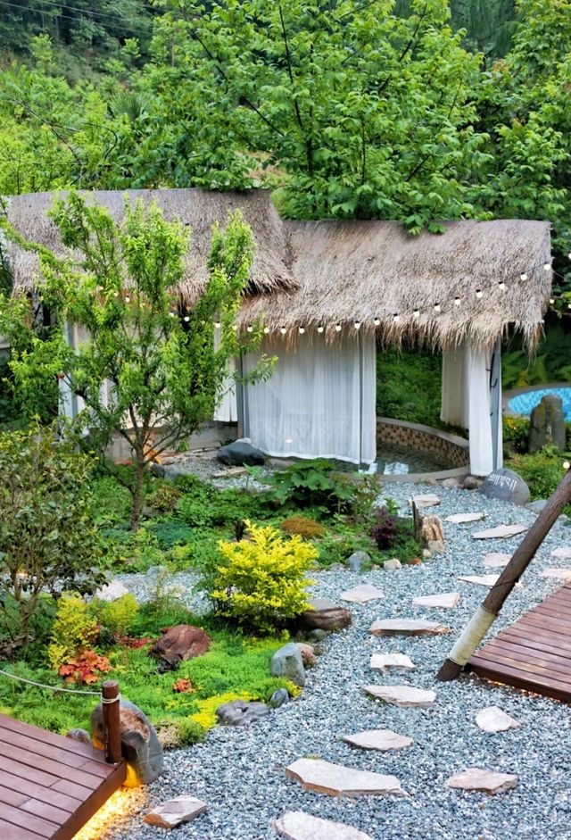 在汶川看福寶！住進大熊貓基地對面的山野民宿！