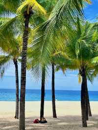 The Real Reality of Traveling to Sanya During the Summer Vacation in June and July