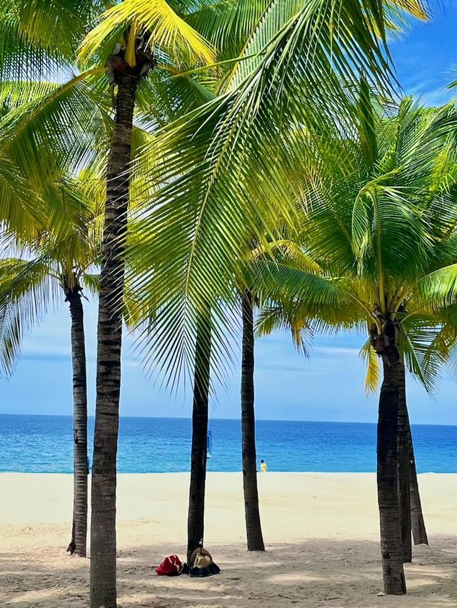 The Real Reality of Traveling to Sanya During the Summer Vacation in June and July
