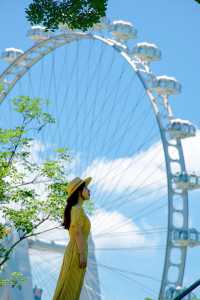 想安利給全深圳人這裡夏日拍照真的好美啊！