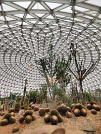 放鬆仙境——大陽山國家森林公園