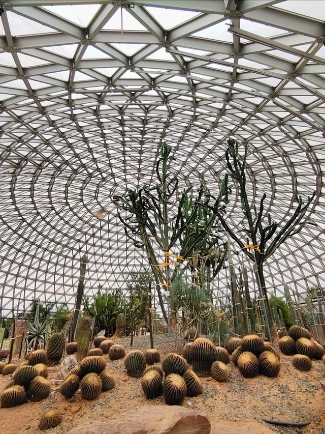 放鬆仙境——大陽山國家森林公園