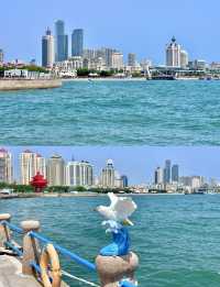 青島必打卡～五四廣場奧帆中心