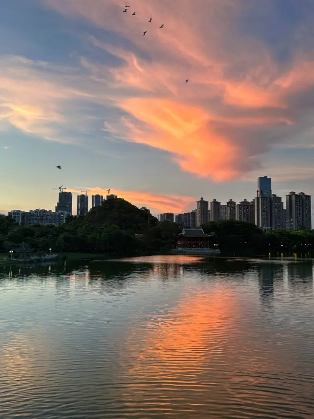 Shunde｜This free park is really great to visit, a must-go every time