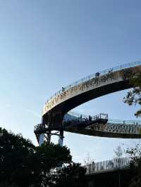 深圳龍崗大嶺鼓公園|天空之盾