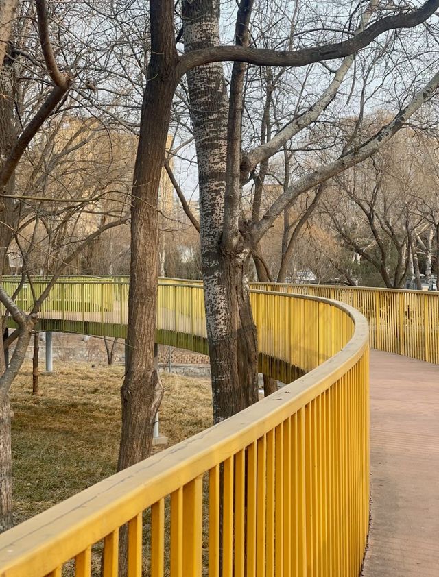 北京週末去邊度。