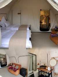 1466CAMPING露營地。
