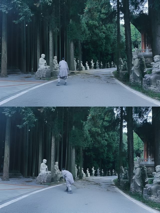 不是阿勒泰去不起而是重慶更有性價比！！。