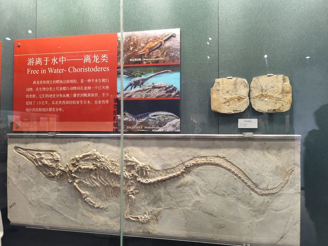 景點攻略：大連自然博物館。