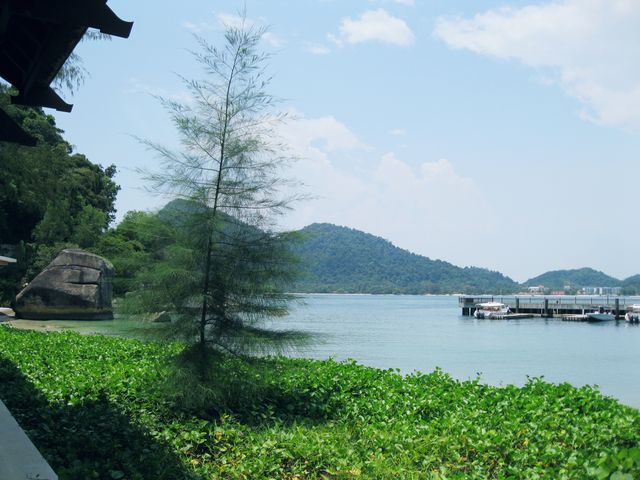 人醉綠中海。