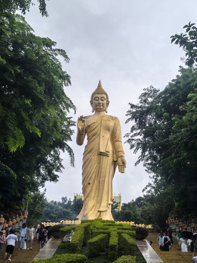 又一次西雙版納之旅。