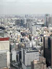 A secret Tokyo skyline view 