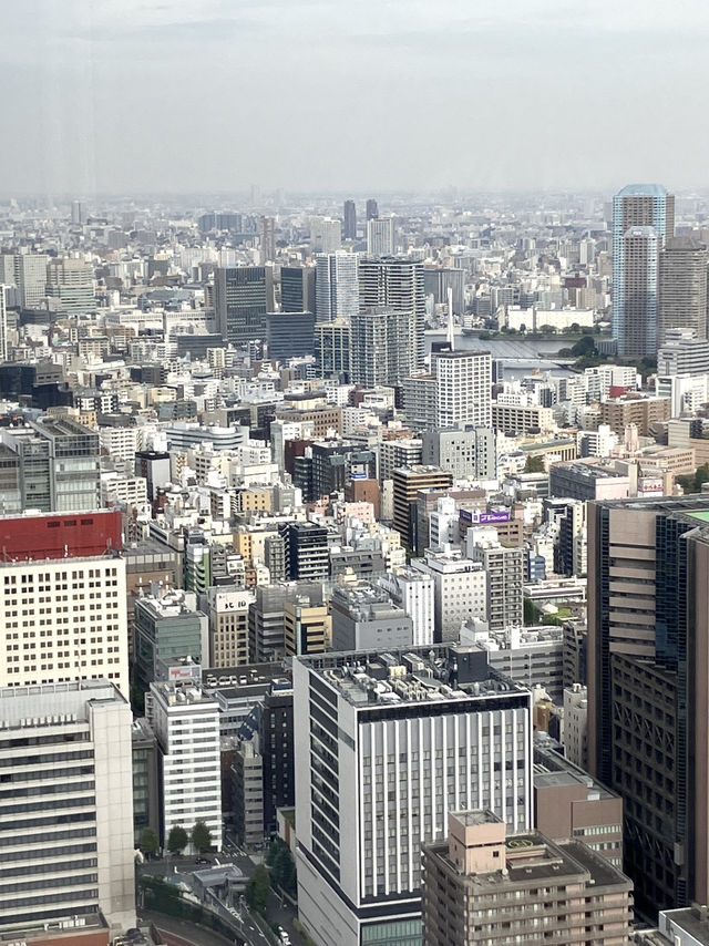 A secret Tokyo skyline view 