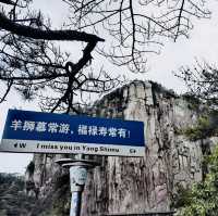 來羊獅慕爬山啦