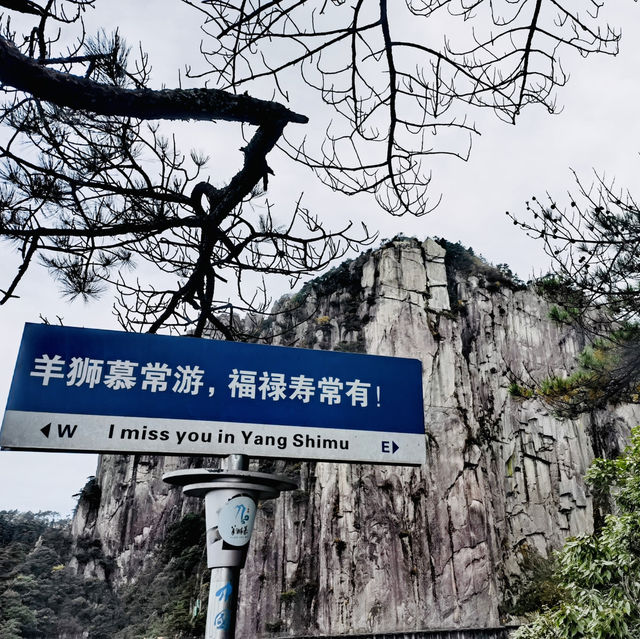 來羊獅慕爬山啦