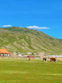 新疆 | 邂逅一望無際的草原。