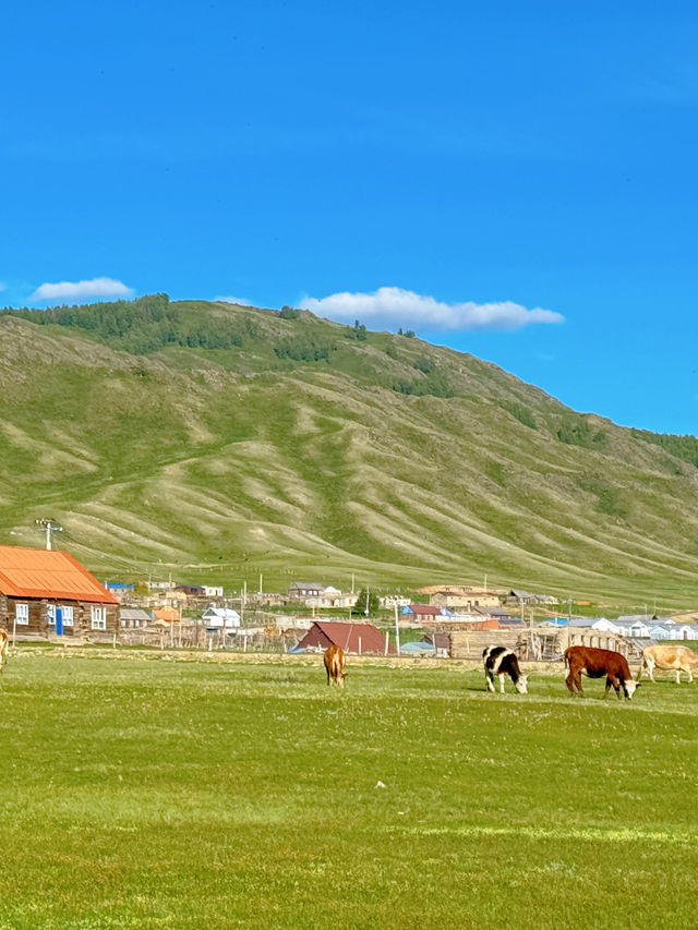 新疆 | 邂逅一望無際的草原。 新疆 | 邂逅一望無際的草原。