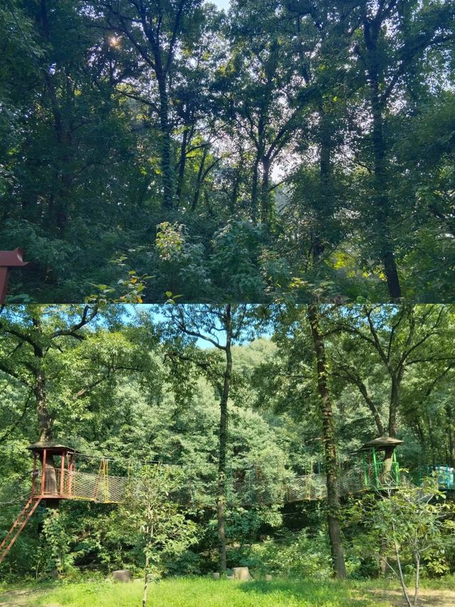 金秋十一月來金頂山，金頂山一票通活動開始啦！
