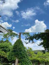 麓湖森林公園：徒步打卡，征服山巔之旅天麓湖森林公園：徒步打。