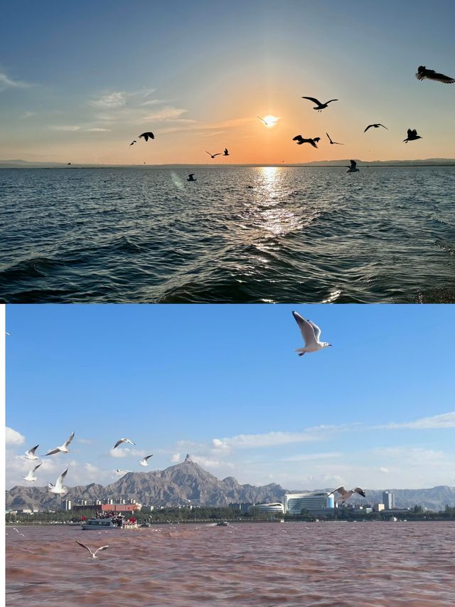 避開人流，小眾冷門，我只去一個地方。