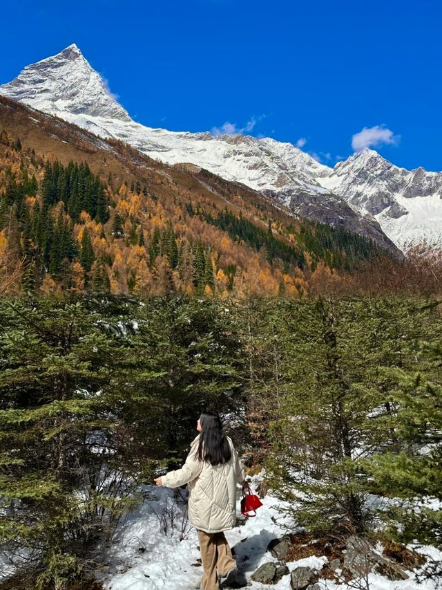 11月的川西｜比童話還美的雪國！