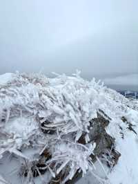 西安秦嶺東梁|雪後的東梁，如她的名字一樣別緻。