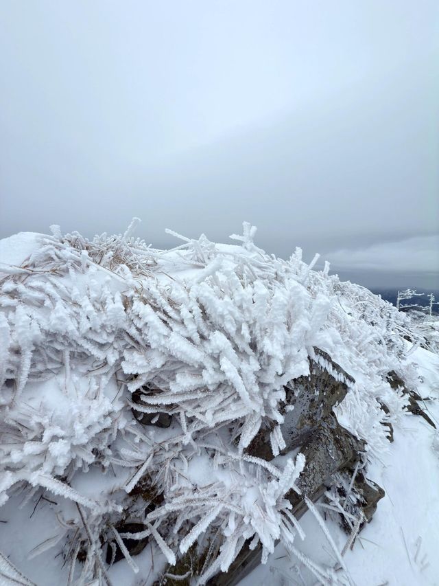 西安秦嶺東梁|雪後的東梁，如她的名字一樣別緻。