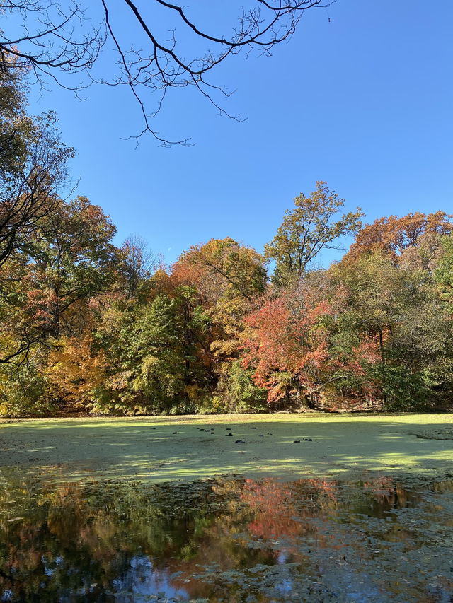 Autumn is the most beautiful season!! 