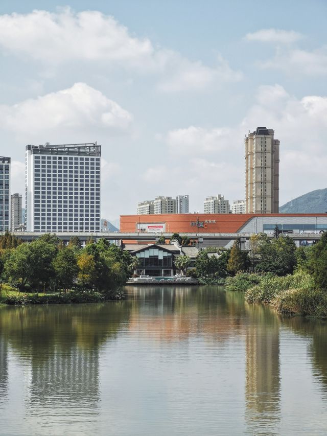 浙南威尼斯三垟濕地丨江南的夏日秘境。